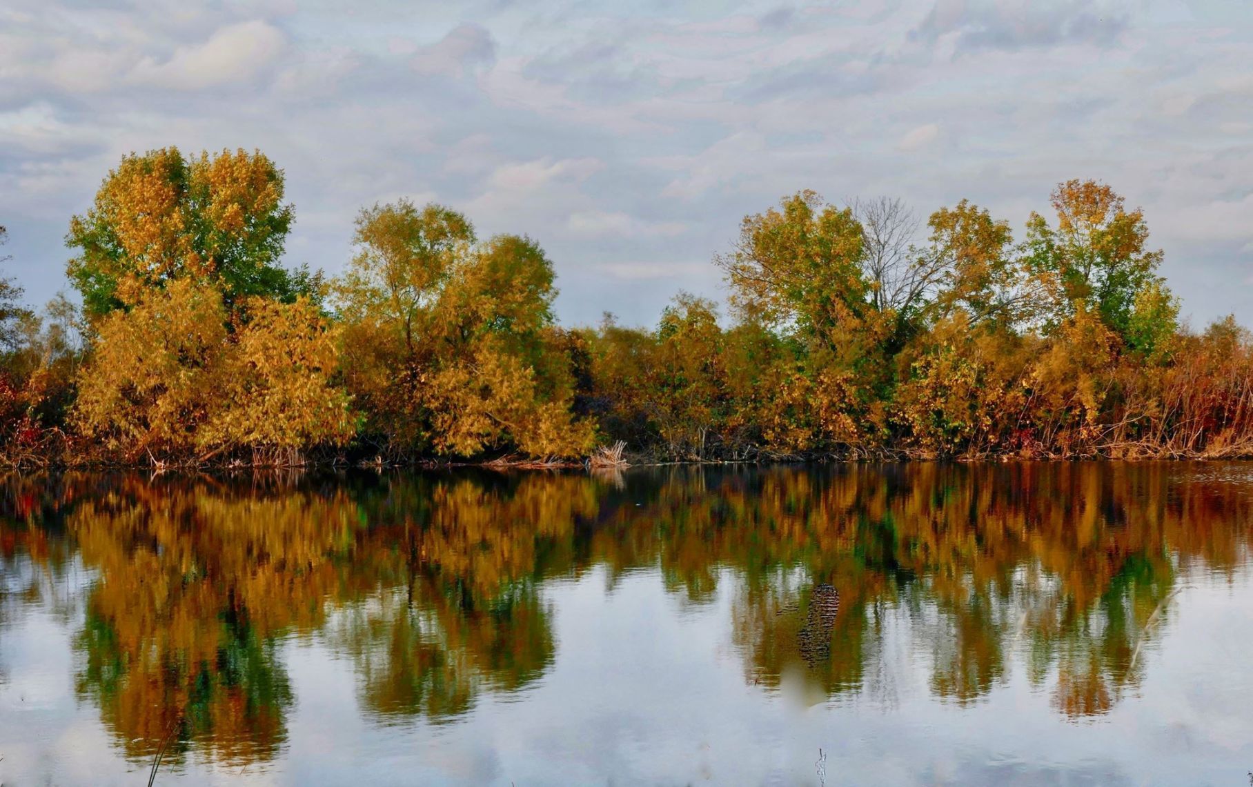 Reflections on the season